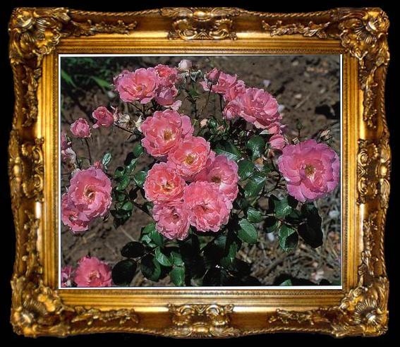 framed  unknow artist Still life floral, all kinds of reality flowers oil painting  269, ta009-2